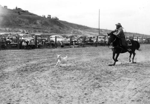 Colorado hosts its first all African American rodeo.  